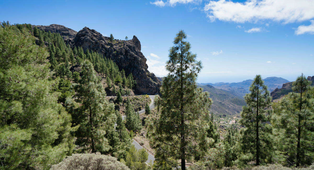 Gran Canaria Last-Minute Urlaub - Ausflug in die Berge